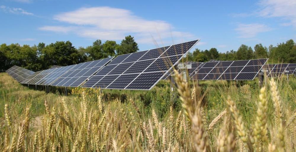 2020 Minnesota Legislature Strengthening Our Community Solar Garden Program MnSEIA